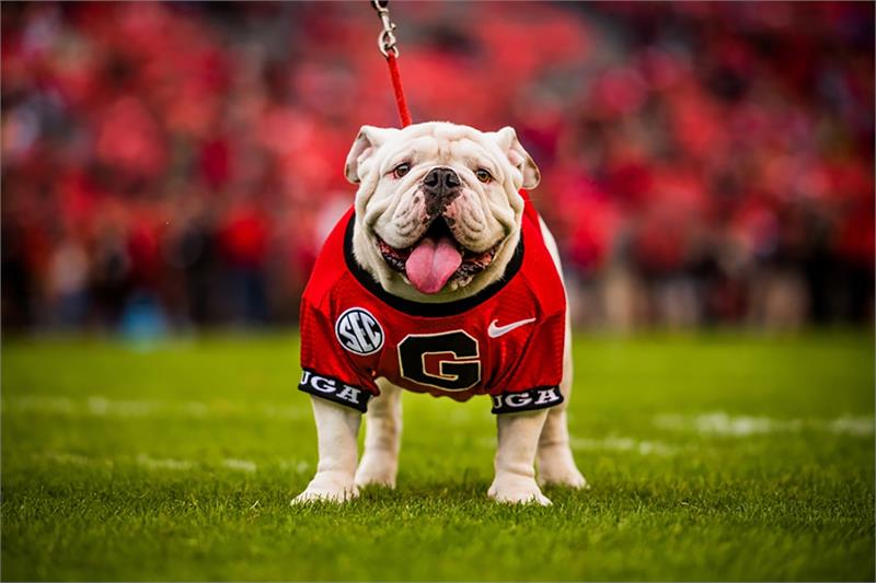 UGA Boom Long Sleeve T-Shirt