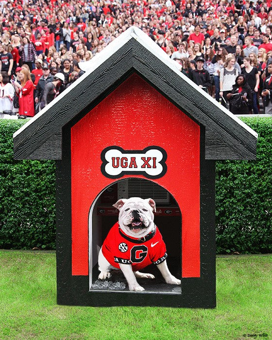 Boom! Uga XI Dog House Photo – The Red Zone- Athens, GA
