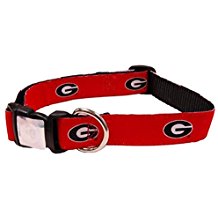 UGA Oval G Dog Collar - Red
