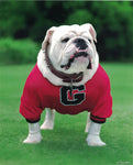 UGA VI Official Portrait 8 x 10 Photo