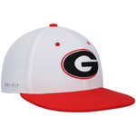 UGA Nike Fitted Baseball Cap - White