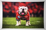 Georgia Bulldogs Uga X Mascot Tapestry