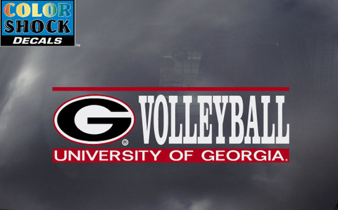 UGA Georgia Bulldogs Volleyball Decal
