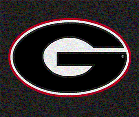 UGA Georgia Bulldogs Colorshock Small Oval G Decal Sticker
