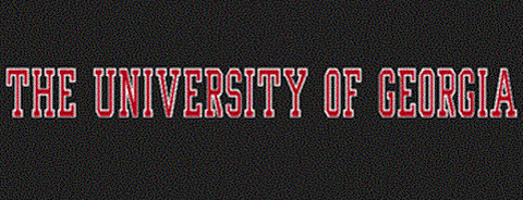 The University of Georgia Color Shock Car Decal