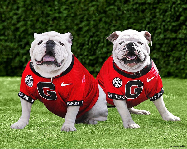 Georgia Bulldogs Uga Xi Boom University Of Georgia Shirt